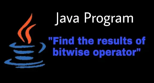 Bitwise operator in java program
