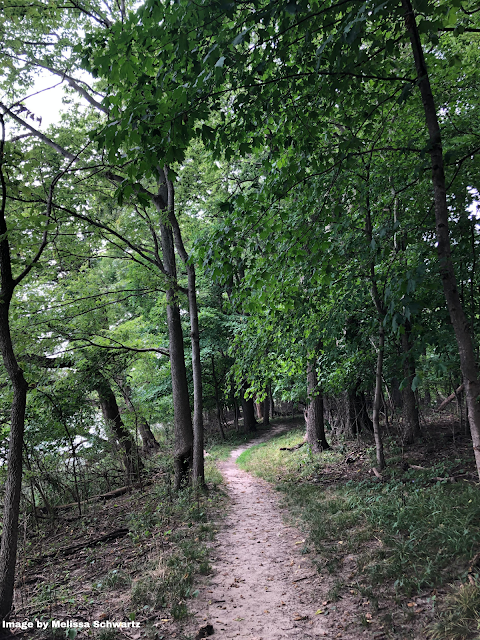 A natural trail beckons wanders into the forest on Smith's Island in Iowa.