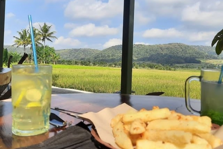 pronosutan view spot foto keren area sawah