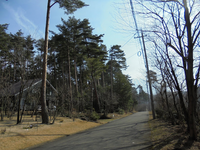 別荘地の風景