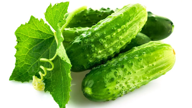 Fresh Cucumbers