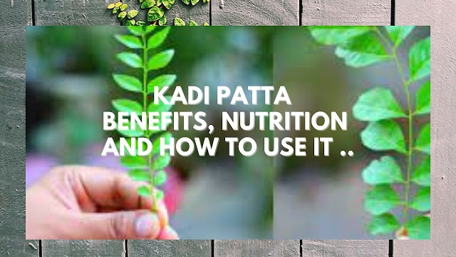 Kadi Patta  Benefits, Nutrition  And How To Use It 