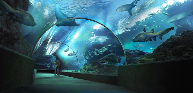 Siam Ocean World - Công viên đại dương tuyệt vời