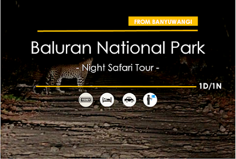 Baluran Night Safari Tour