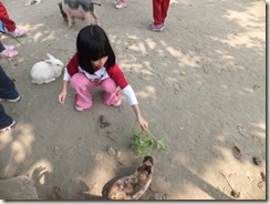 321心蕙校外教學 033