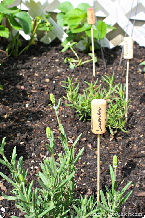 DIY garden markers