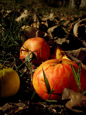 manzana de sidra alba hogar