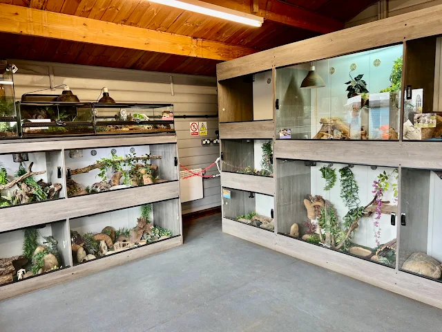 Cabinets containing reptiles and snakes at Hopefield Animal Sanctuary