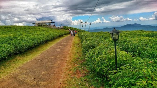 Wisata Alam Malino Yang Wajib Kamu Kunjungi