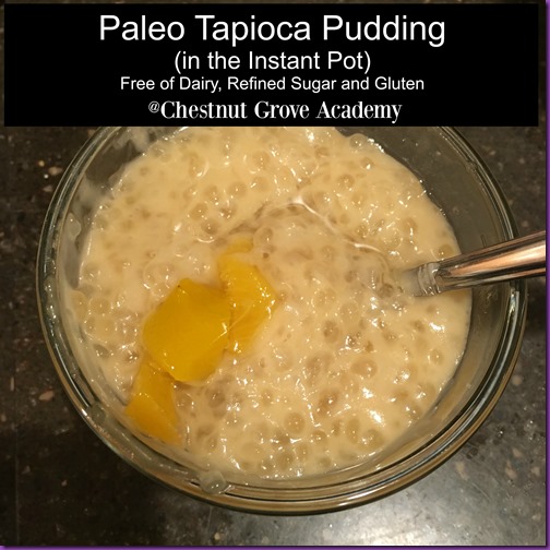 Paleo Tapioca Pudding