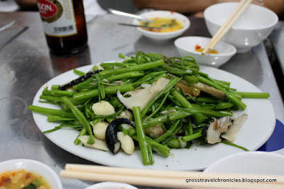 morning glory, water spinach, snail