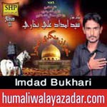 http://audionohay.blogspot.com/2014/10/imdad-bukhari-nohay-2015.html