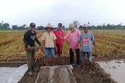 Komunitas Petani Barombong Komitmen Menangkan Darmawangsyah - Djaya Jumain