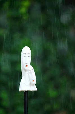 how to photograph rain drops