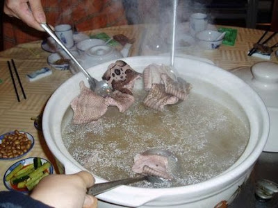 Disgusting Snake Soup Mea