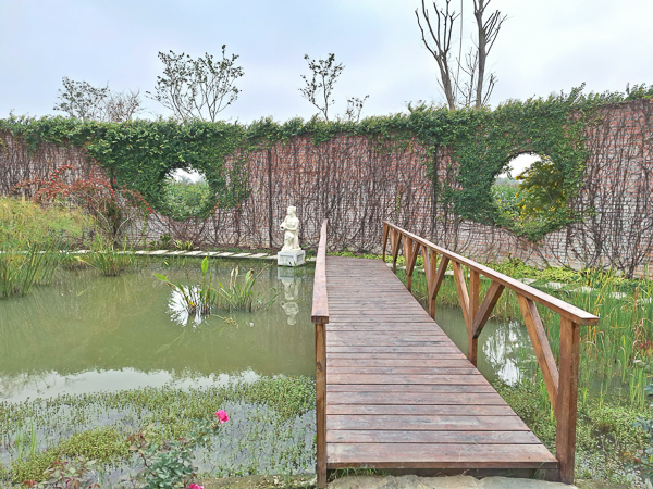 台南後壁雅聞湖濱療癒森林15000坪玫瑰花園、熱帶雨林免費參觀