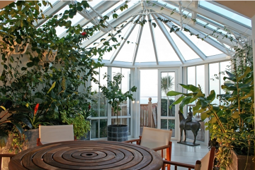Ogród zimowy, w którym idealnie komponuje się zieleń roślin z framugami okiennymi.