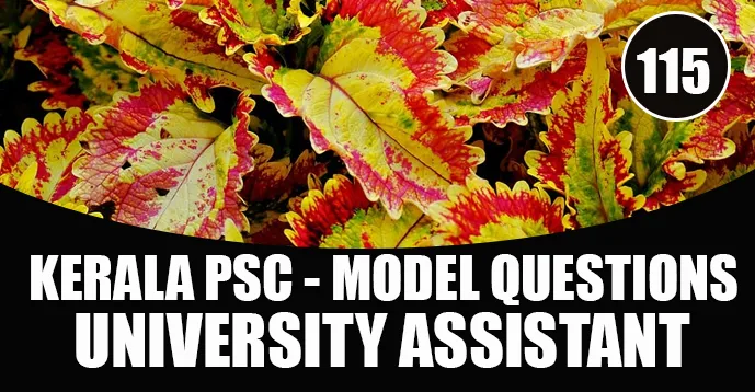Kerala PSC Model Questions for University Assistant Exam - 115