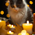 Photo of a cat wearing a sweater…