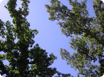 blue-skies-2