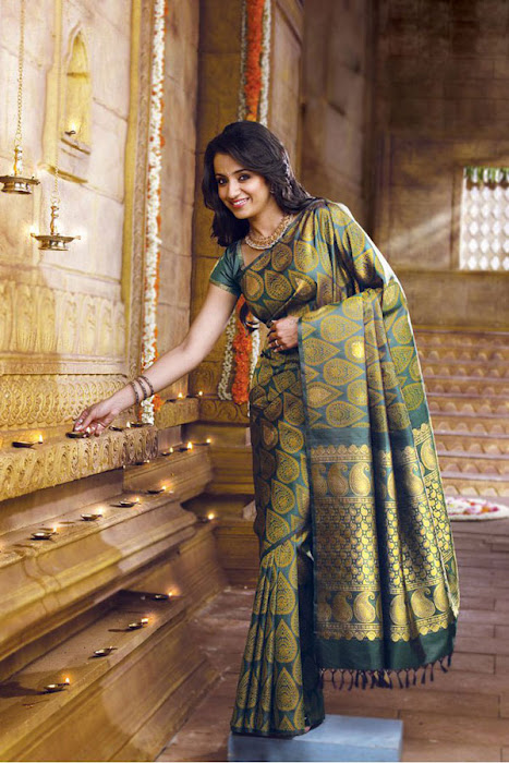 trisha in saree actress pics