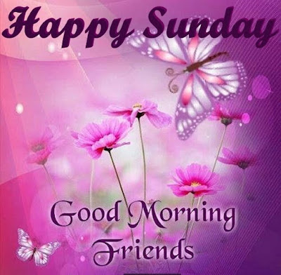 Happy Sunday Friends