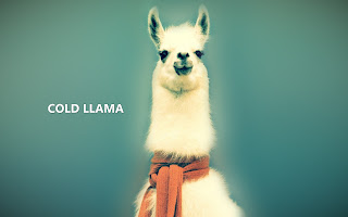 Llama hd Wallpapers 2013