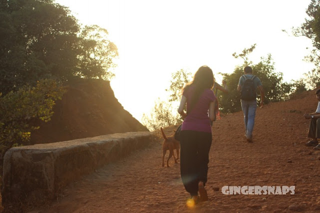 Matheran Evening April Friends Dog Walking