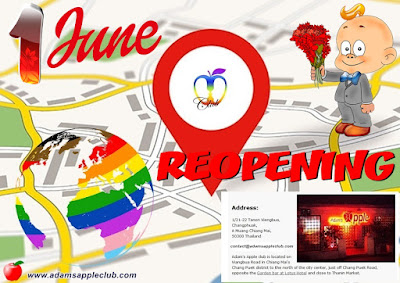 Re opening Adams Apple Gay Club Chiang Mai Thailand Host Bar