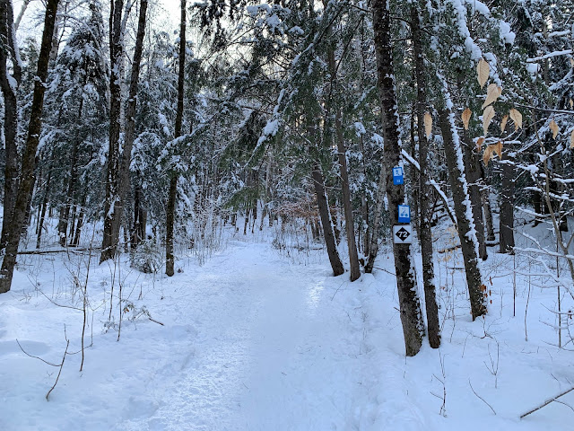 Sentier de raquette dans le Parc de la Gatineau