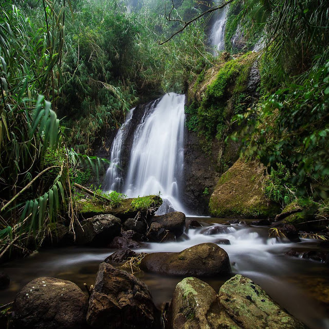 Curug Banteng Petungkriyono Pekalongan