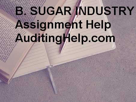 Auditing Project Assignment Help