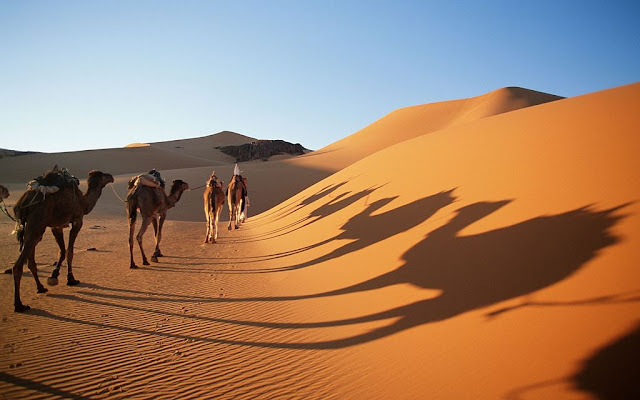 Il deserto del Sahara