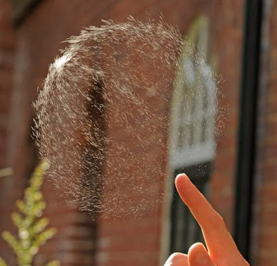 Amazing bubbles effect