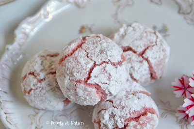 Amaretti aux biscuits de Reims 