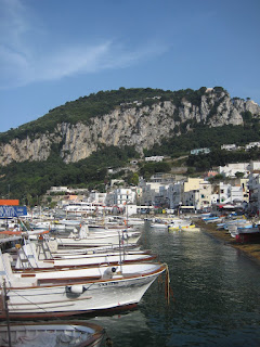 The harbor in Capri.