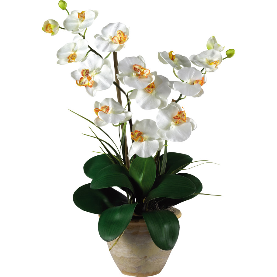 Hiasan Orkid Yang Amat Menarik dan Kreatif MyRokan