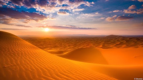 Download Desert Background 2020 High Quality Free