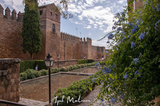 cordoba kurtuba ispanya spain - gezi seyahat blog mezquita cami