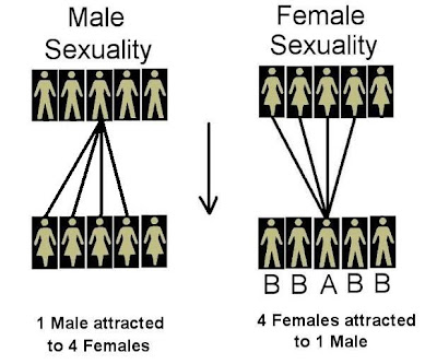 http://masculineprinciple.blogspot.ca/2015/03/male-and-female-equal-but-different.html