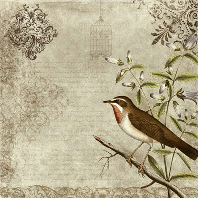 Birds Images on Bird Vintage Texture By  Etoile Du Nord   Terms  Personal Use