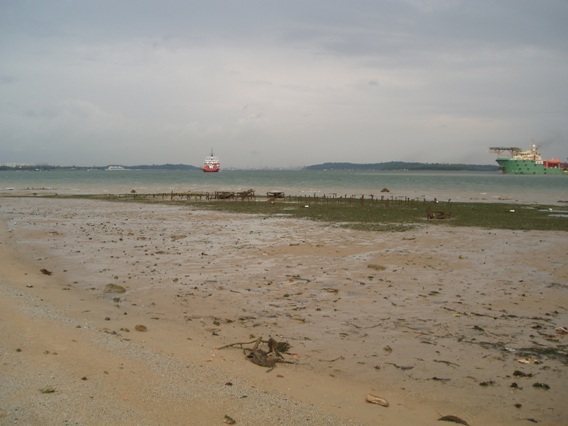 Water Quality Monitoring in Singapore's Natural Areas: January 2011