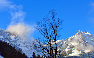 Gunung salju abadi