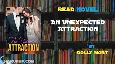 An Unexpected Attraction Novel