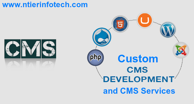 Custom CMS Development