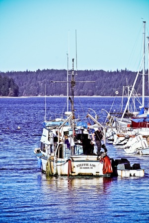 Boats