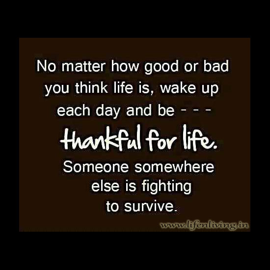 No matter how good or bad you think life is