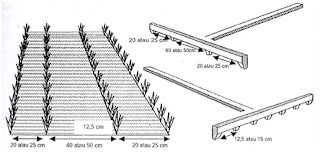 Tanam Padi dengan Sistem Jajar Legowo