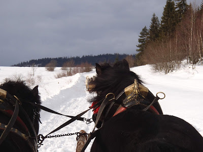 zima na Orawie, zima pod Babią Górą, kulig