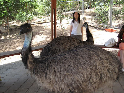 see how am i scared of that ostrich